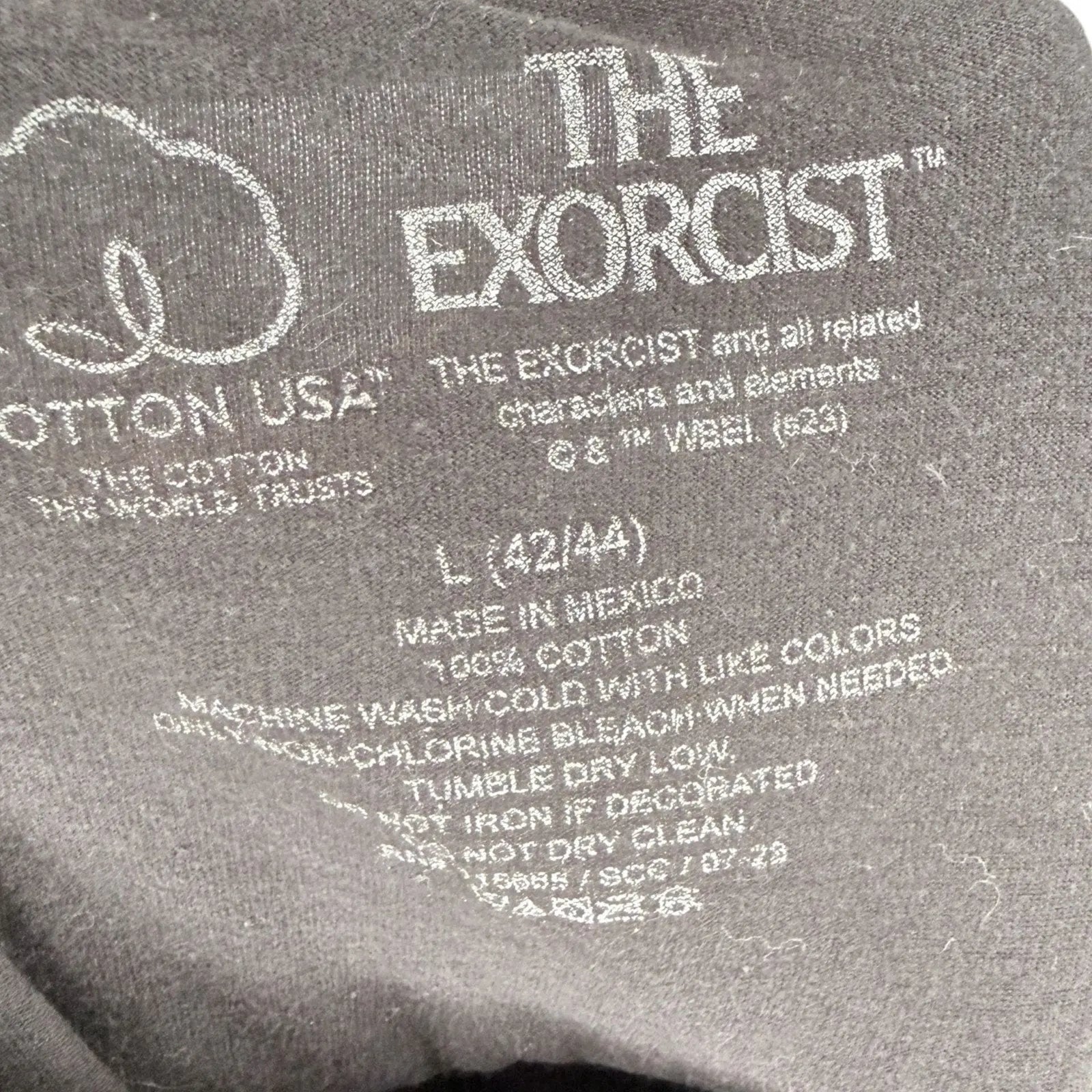 The Exorcist Men's Graphic T-Shirt Neon Green Pazuzu Statue Poster Art Black Siz The Exorcist