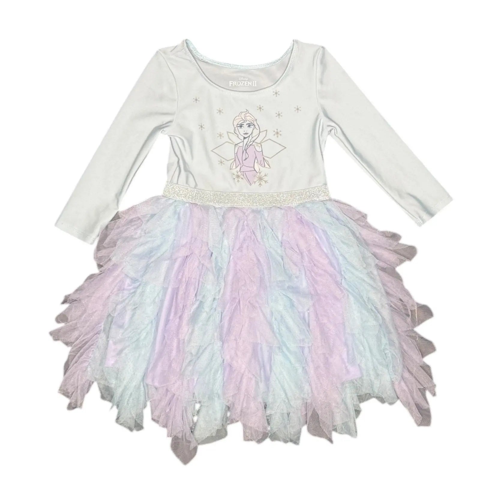 Disney Frozen II Elsa Girls Long Sleeve Tiered Tulle Dress Disney